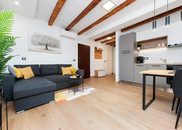 Comfort Carera By Irundo *