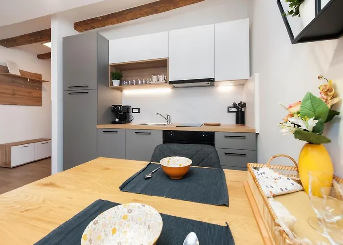 Comfort Carera By Irundo