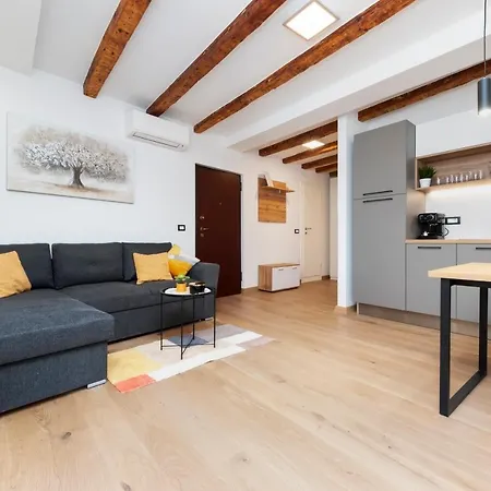 Comfort Carera By Irundo *